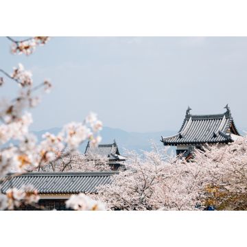 Lais Puzzle - Koriyama-Schlosspark mit Kirschblüten in Nara, Japan - 1.000 Teile