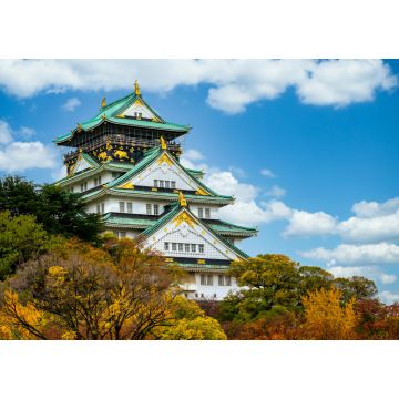 Lais Puzzle - Osaka Schloss schöne Attraktion alte Architektur Wahrzeichen Osaka Schloss im Herbst, Osaka City, Kansai - 1.000 Teile
