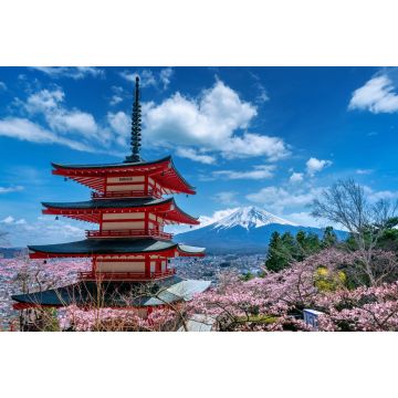 Lais Puzzle - Kirschblüten im Frühling, Chureito-Pagode und Fuji-Berg in Japan - 2.000 Teile
