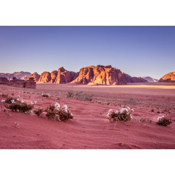 Lais Puzzle - Frühling Wadi Rum Wüste - Tal des Mondes in Jordanien - 1.000 Teile