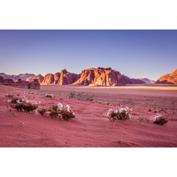 Lais Puzzle - Frühling Wadi Rum Wüste - Tal des Mondes in Jordanien - 2.000 Teile