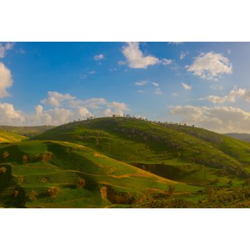 Lais Puzzle - die Quelle in Irbid im Norden von Jordanien - 2.000 Teile
