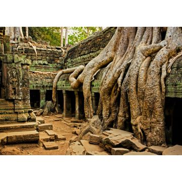 Lais Puzzle - Die antiken Ruinen von Angkor Wat in Kambodscha - 1.000 Teile