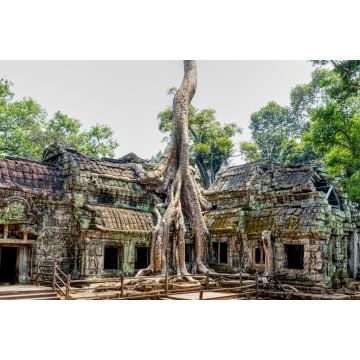 Lais Puzzle - Ta-Prohm-Tempel, Kambodscha - 2.000 Teile