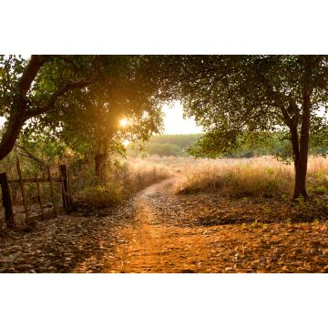 Lais Puzzle - Sonnenuntergang im Cashewnusswald, Kambodscha Provinz Banlung - 2.000 Teile