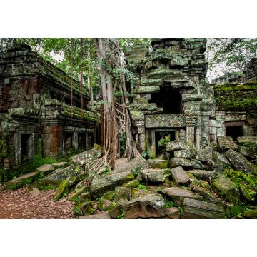 Lais Puzzle - Tempel von Angkor Wat, wo der Dschungel die Ruinen in der Nähe der Stadt Siem Reap in Kambodscha teilweise überwuchert hat - 1.000 Teile