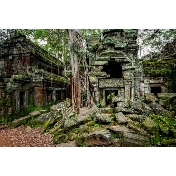 Lais Puzzle - Tempel von Angkor Wat, wo der Dschungel die Ruinen in der Nähe der Stadt Siem Reap in Kambodscha teilweise überwuchert hat - 2.000 Teile