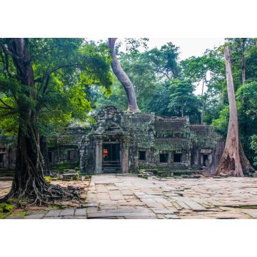 Lais Puzzle - Ta Prohm-Tempel in Angkor Kambodscha Asien - 1.000 Teile