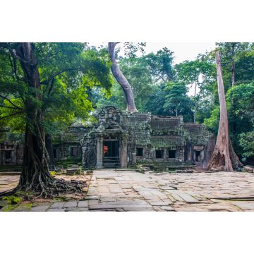 Lais Puzzle - Ta Prohm-Tempel in Angkor Kambodscha Asien - 2.000 Teile