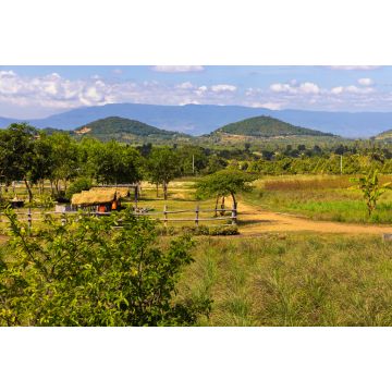 Lais Puzzle - Die Landschaft in der Region Kampot, Kambodscha - 2.000 Teile