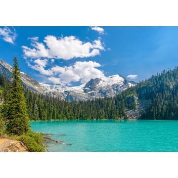 Lais Puzzle - Majestätischer Bergsee in Kanada. Blick auf den Upper Joffre Lake Trail - 1.000 Teile