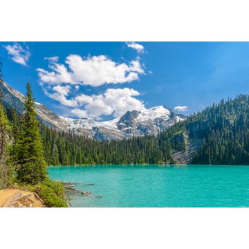 Lais Puzzle - Majestätischer Bergsee in Kanada. Blick auf den Upper Joffre Lake Trail - 2.000 Teile
