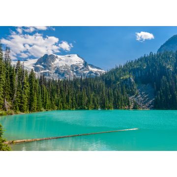 Lais Puzzle - Majestätischer Bergsee in Kanada. Blick auf den Upper Joffre Lake Trail - 1.000 Teile
