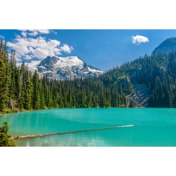 Lais Puzzle - Majestätischer Bergsee in Kanada. Blick auf den Upper Joffre Lake Trail - 2.000 Teile