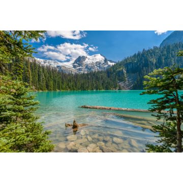 Lais Puzzle - Majestätischer Bergsee in Kanada. Upper Joffre Lake Trail Ansicht - 2.000 Teile