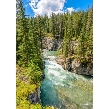 Lais Puzzle - Fragment des Five Lakes Trail in Jasper, Alberta, Kanada - 1.000 Teile