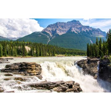 Lais Puzzle - Athabasca Wasserfälle Alberta Kanada - 2.000 Teile