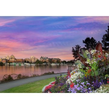 Lais Puzzle - Sonnenuntergang im Innenhafen von Victoria BC - 1.000 Teile