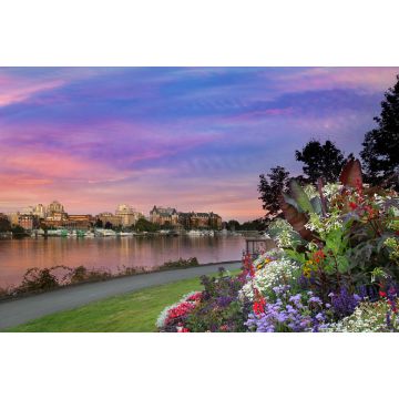 Lais Puzzle - Sonnenuntergang im Innenhafen von Victoria BC - 2.000 Teile
