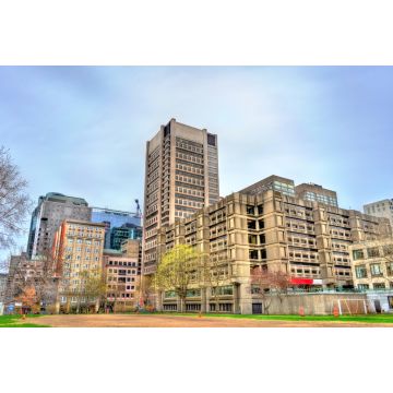 Lais Puzzle - Technische Fakultät der McGill-Universität in Montreal, Kanada - 2.000 Teile
