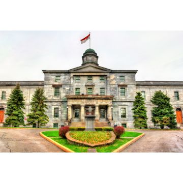 Lais Puzzle - Kunstfakultät der McGill-Universität in Montreal, Kanada - 2.000 Teile