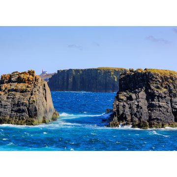 Lais Puzzle - Zerklüftete Küstenlinie um das Fischerdorf Ferryland, Neufundland und Labrador, Kanada - 1.000 Teile