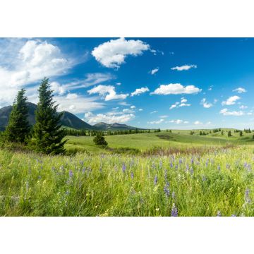 Lais Puzzle - Prärie und Berge im Waterton Lakes Nationalpark, Alberta, Kanada - 1.000 Teile