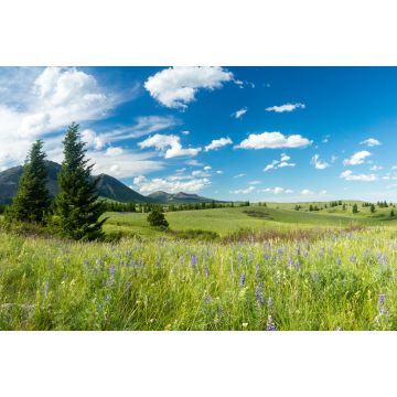 Lais Puzzle - Prärie und Berge im Waterton Lakes Nationalpark, Alberta, Kanada - 2.000 Teile