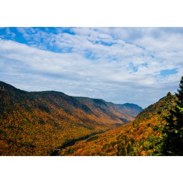 Lais Puzzle - Herbst im Tal des Jacques Cartier Flusses, Quebec, Kanada - 1.000 Teile