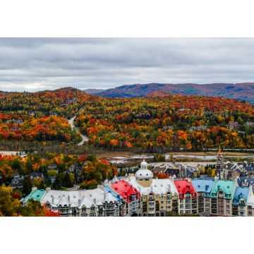 Lais Puzzle - Wunderschöne Herbstfarben in der Umgebung des Ferienortes Mont Tremblant, Québec, Kanada - 1.000 Teile