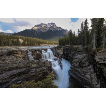 Lais Puzzle - Athabasca Falls und Berg - 2.000 Teile