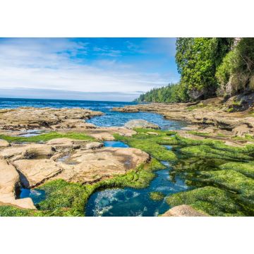 Lais Puzzle - Wanderung auf dem zerklüfteten Juan de Fuca Marine Trail durch wunderschöne Strände und uralte Wälder an der Südwestküste von Vancouver Island, British Columbia, Kanada - 1.000 Teile