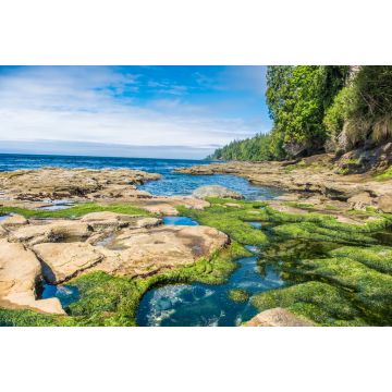 Lais Puzzle - Wanderung auf dem zerklüfteten Juan de Fuca Marine Trail durch wunderschöne Strände und uralte Wälder an der Südwestküste von Vancouver Island, British Columbia, Kanada - 2.000 Teile