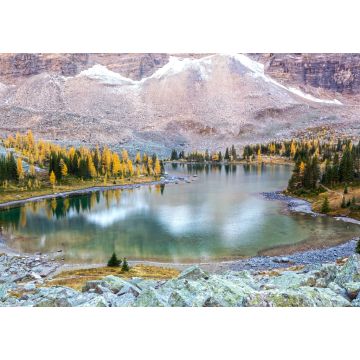 Lais Puzzle - Alpine Seenlandschaft auf dem Opabin Plateau auf dem Great Hiking Trail oberhalb des Lake O'Hara während des Wechsels der Herbstfarben im Yoho National Park in British Columbia, Kanada - 1.000 Teile