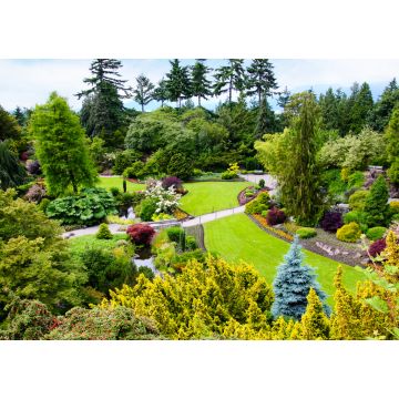 Lais Puzzle - Queen Elizabeth Park in Vancouver, Kanada - 1.000 Teile