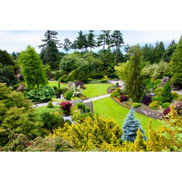 Lais Puzzle - Queen Elizabeth Park in Vancouver, Kanada - 2.000 Teile