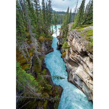 Lais Puzzle - Eine enge Schlucht am Icefield Parkway in British Columbia - 1.000 Teile