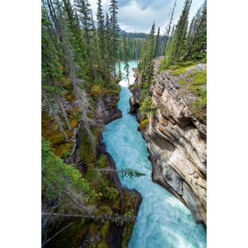 Lais Puzzle - Eine enge Schlucht am Icefield Parkway in British Columbia - 2.000 Teile