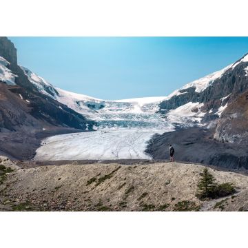 Lais Puzzle - Athabasca-Gletscher im Jasper-Nationalpark, Alberta, Kanada - 1.000 Teile