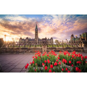 Lais Puzzle - Blick auf das kanadische Parlamentsgebäude in Ottawa während des Tulpenfestes - 2.000 Teile