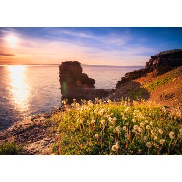 Lais Puzzle - Blick auf einen Strand auf Bell Island, Neufundland, Kanada bei Sonnenuntergang - 1.000 Teile