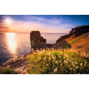 Lais Puzzle - Blick auf einen Strand auf Bell Island, Neufundland, Kanada bei Sonnenuntergang - 2.000 Teile