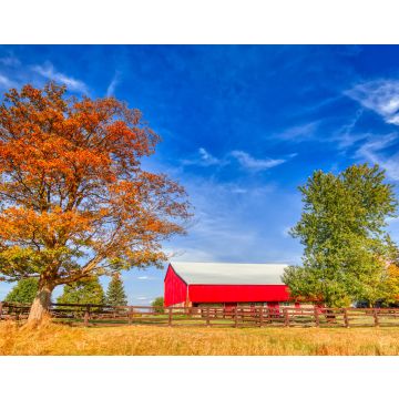 Lais Puzzle - Typische kanadische Landschaften in Ontario - 40, 100, 200, 500, 1.000 & 2.000 Teile