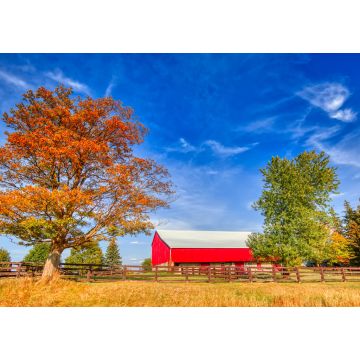 Lais Puzzle - Typische kanadische Landschaften in Ontario - 1.000 Teile