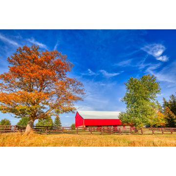 Lais Puzzle - Typische kanadische Landschaften in Ontario - 2.000 Teile