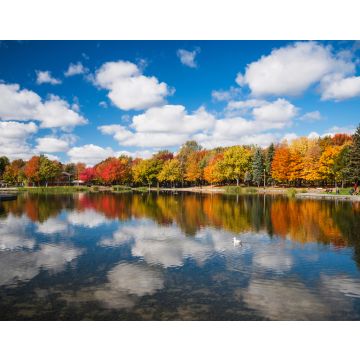 Lais Puzzle - Herbstbäume im Spiegel des Beaver Lake, Mont Royal, Montreal, Quebec, Kanada - 40, 100, 200, 500, 1.000 & 2.000 Teile