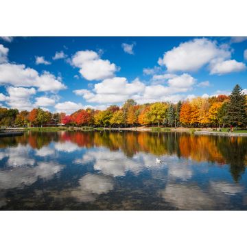 Lais Puzzle - Herbstbäume im Spiegel des Beaver Lake, Mont Royal, Montreal, Quebec, Kanada - 1.000 Teile