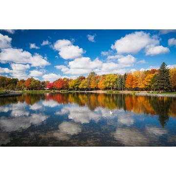 Lais Puzzle - Herbstbäume im Spiegel des Beaver Lake, Mont Royal, Montreal, Quebec, Kanada - 2.000 Teile
