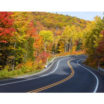 Lais Puzzle - Herbststraße im Mauricie-Nationalpark, Kanada - 40, 100, 200, 500, 1.000 & 2.000 Teile