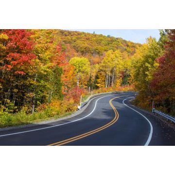 Lais Puzzle - Herbststraße im Mauricie-Nationalpark, Kanada - 2.000 Teile
